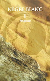 Nègre Blanc - Arvo Steinberg - E-Book