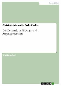 Die Dynamik in Bildungs und Arbeitsprozessen - Christoph Mangold - E-Book