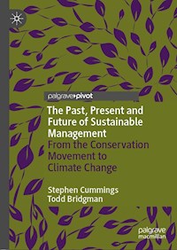 The Past, Present and Future of Sustainable Management - Stephen Cummings - E-Book
