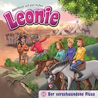 22: Der verschwundene Fluss - Christian Mörken - Hörbuch