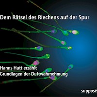 Dem Rätsel des Riechens auf der Spur - Hanns Hatt - Hörbuch
