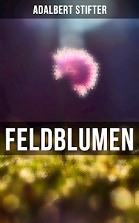 Feldblumen - Adalbert  Stifter - E-Book
