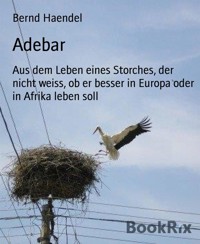 Adebar - Bernd Haendel - E-Book