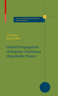 Global Propagation of Regular Nonlinear Hyperbolic Waves - Tatsien Li - E-Book