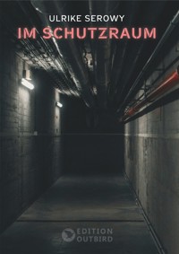 Im Schutzraum - Ulrike Serowy - E-Book