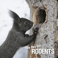 How they live... Rodents - David Withrington - E-Book