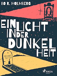Ein Licht in der Dunkelheit - Bo R. Holmberg - E-Book