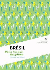 Brésil : Dans les pas du géant - Patrice Montagu-Williams - E-Book