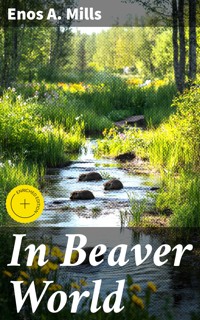 In Beaver World - Enos A. Mills - E-Book