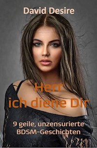 Herr, ich diene Dir - David Desire - E-Book