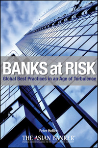 Banks at Risk - Peter Hoflich - E-Book