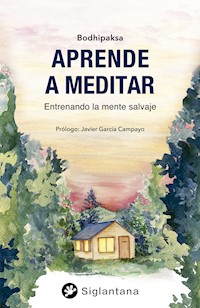 Aprender a meditar - Bodhipaksa - E-Book