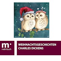 Weihnachtsgeschichten - Charles Dickens - E-Book