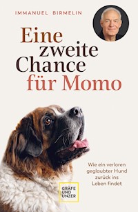 Eine zweite Chance für Momo - Immanuel Birmelin - E-Book