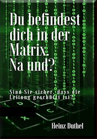 Du befindest dich in der Matrix. Na und? - Heinz Duthel - E-Book