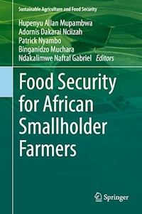 Food Security for African Smallholder Farmers -  - E-Book