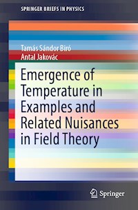 Emergence of Temperature in Examples and Related Nuisances in Field Theory - Tamás Sándor Biró - E-Book