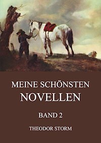 Meine schönsten Novellen, Band 2 - Theodor Storm - E-Book