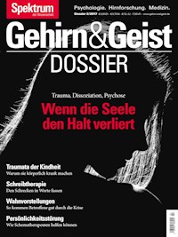 Wenn die Seele den Halt verliert -  - E-Book