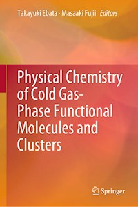 Physical Chemistry of Cold Gas-Phase Functional Molecules and Clusters -  - E-Book
