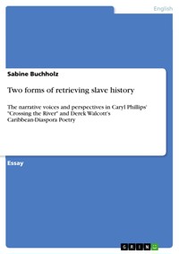 Two forms of retrieving slave history - Sabine Buchholz - E-Book