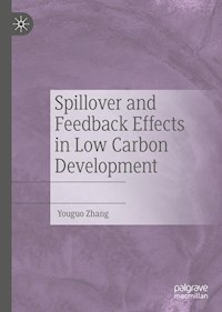 Spillover and Feedback Effects in Low Carbon Development - Youguo Zhang - E-Book