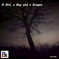 A Girl, a Boy and a Dragon - jaad melle - Hörbuch