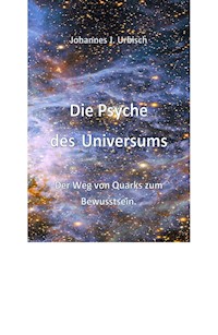 Die Psyche des Universums - Johannes J. Urbisch - E-Book