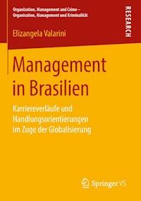 Management in Brasilien - Elizangela Valarini - E-Book