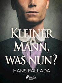 Kleiner Mann, was nun? - Hans Fallada - E-Book