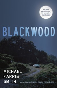 Blackwood - Michael Farris Smith - E-Book
