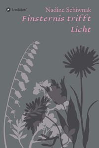Finsternis trifft Licht - Nadine Schiwnak - E-Book