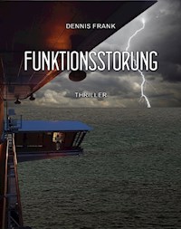 Funktionsstörung - Dennis Frank - E-Book