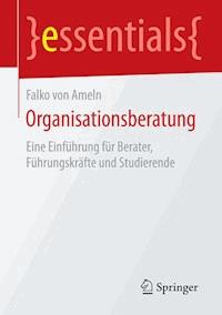 Organisationsberatung - Falko von Ameln - E-Book