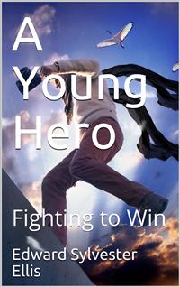 A Young Hero - Edward Sylvester Ellis - E-Book