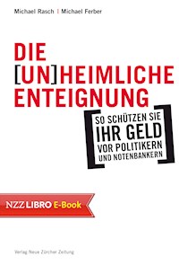 Die (un)heimliche Enteignung - Michael Rasch - E-Book