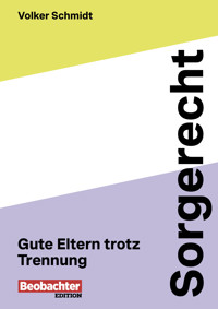 Sorgerecht - Volker Schmidt - E-Book