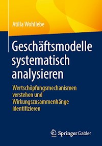 Geschäftsmodelle systematisch analysieren - Atilla Wohllebe - E-Book
