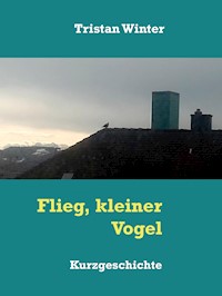 Flieg, kleiner Vogel - Tristan Winter - E-Book