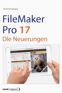 FileMaker Pro 17 - Horst Grossmann - E-Book