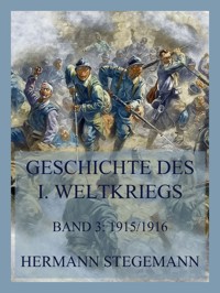 Geschichte des I. Weltkrieges, Band 3 - Hermann Stegemann - E-Book