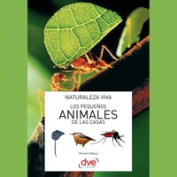 Los pequeños animales de las casas - Vincent Albouy - Hörbuch
