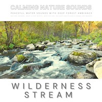 Peaceful Water Sounds With Deep Forest Ambiance: Wilderness Stream & Babbling Brook - Dr. Laurence Goldman - Hörbuch