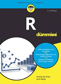 R für Dummies - Andrie de Vries - E-Book