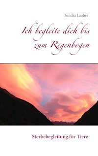 Ich begleite dich bis zum Regenbogen - Sandra Lauber - E-Book