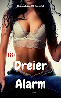 Dreier Alarm - Bernadette Binkowski - E-Book
