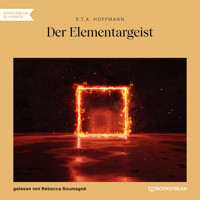 Der Elementargeist (Ungekürzt) - E.T.A. Hoffmann - Hörbuch