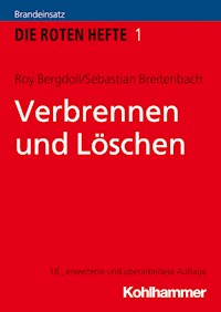Verbrennen und Löschen - Roy Bergdoll - E-Book