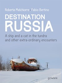 Destination Russia. A ship and a cat in the tundra and other extra-ordinary encounters - Fabio Bertino - E-Book