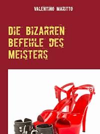 Die bizarren Befehle des Meisters - Valentino Maritto - E-Book